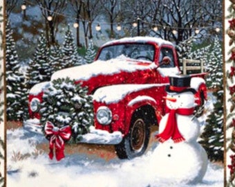 Truck fabric fabric