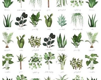 Plants with names fabric, Plant lover fabric, White plants fabric 100% cotton