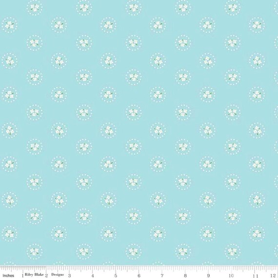 aqua baby girl