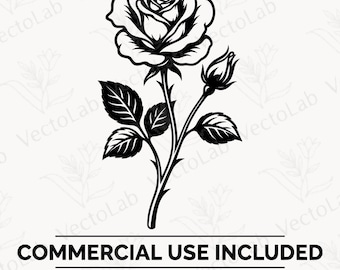 Rosa com caule SVG, vetor de contorno único e longo, botão floral, folhas, pétalas PNG