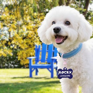 Custom Bone-Shaped Acrylic Pet Tag, Tag for Dog and Cat, Cute and Durable Pet ID Tag, Pet Anti-Lost Tag, Personalized Pet Tag with Name, ID