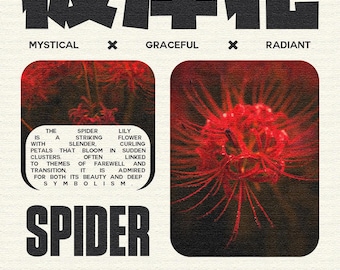 Spider Lily poster - original size 1350x1080