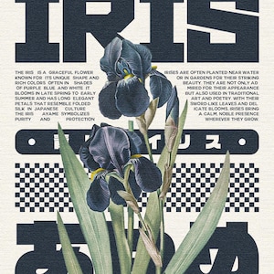 May include: A botanical art print showcasing dark blue irises with yellow highlights, set against a cream backdrop. The word "IRIS" is prominently displayed above the flowers, with descriptive text about the flower's symbolism and features.