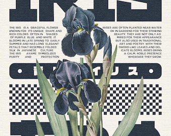 Iris poster - original size 1350 x 1080 px