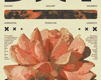 Tsubaki poster - A3 size