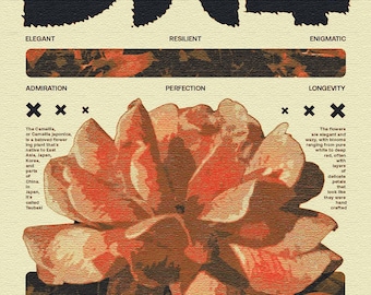 Tsubaki poster - original size 1350 x 1080