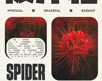Spider Lily poster - A3 size