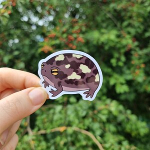 May include: A sticker depicting a cartoon frog with a camouflage pattern in brown and cream hues. The frog has yellow eyes and is outlined in light purple. The sticker is held against a blurred green backdrop.