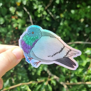 May include: A holographic pigeon sticker. The bird features a blue head, a green and purple chest, and grey wings. The sticker has a shiny, iridescent finish. It is held by a hand against a blurred green background of foliage.