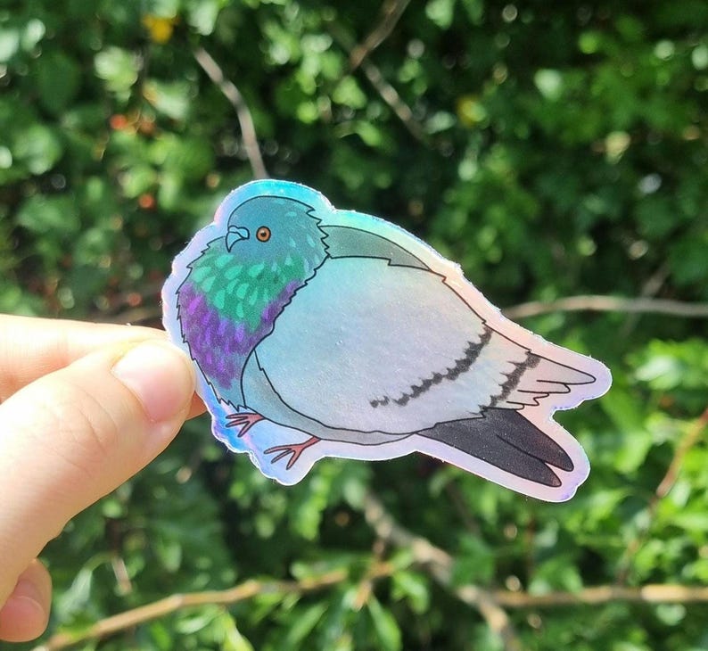 May include: A holographic pigeon sticker. The bird features a blue head, a green and purple chest, and grey wings. The sticker has a shiny, iridescent finish. It is held by a hand against a blurred green background of foliage.