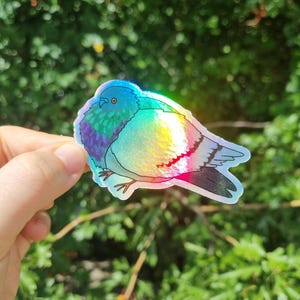 May include: A holographic pigeon sticker with a rainbow sheen. The sticker depicts a detailed outline of a pigeon, with iridescent colours across its body. The pigeon's head is blue and green, with a yellow and red chest.