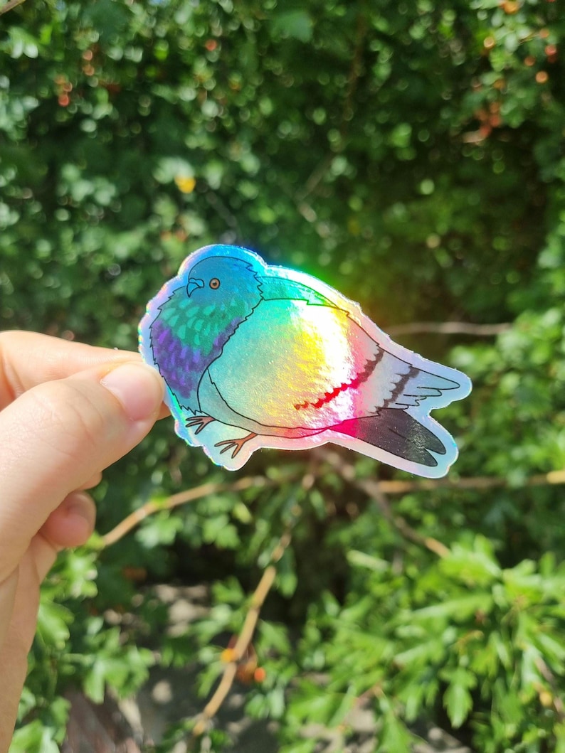 May include: A holographic pigeon sticker with a rainbow sheen. The sticker depicts a detailed outline of a pigeon, with iridescent colours across its body. The pigeon's head is blue and green, with a yellow and red chest.
