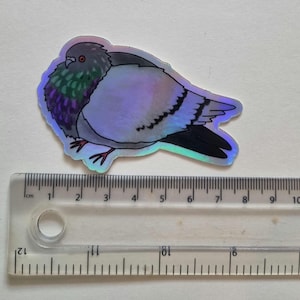 May include: A holographic sticker of a pigeon. The sticker features a detailed illustration of the bird with iridescent colors, including purple, green, and gray. The sticker is approximately 7.6 cm long, as measured by the ruler in the image.