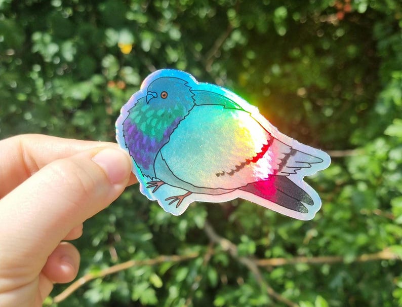 May include: A holographic sticker of a pigeon with a colourful iridescent design. The bird is depicted with blue, purple, green, and pink hues. The sticker is held against a blurred green background.