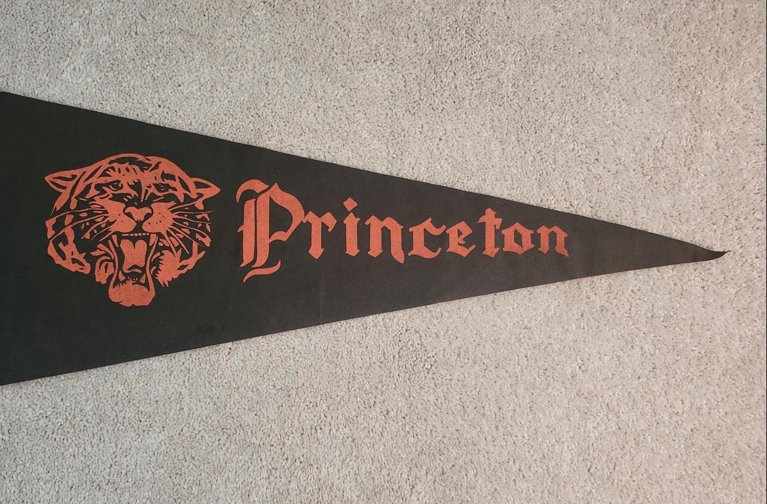 Vintage Princeton Flag - Etsy
