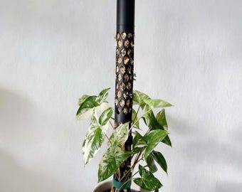 Moosstab mit Sphagnum Moos 65 cm Ø 4,5 cm | Modular & Verlängerbar | Rankhilfe für Monstera und Efeutute | Stabile Pflanzenstütze