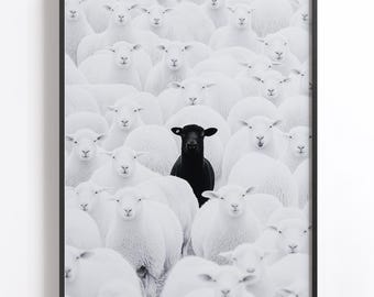 Black Sheep Wall Art, Stand Out From The Crowd Print, Minimalist Black & White Animal Photography, Scandinavian Decor, Office Motivation
