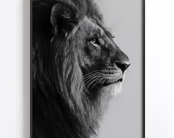 May include: Black and white framed print of a lion's profile. The lion's face is turned to the right, showcasing its mane and facial features. The background is a light gray, and the frame is black.
