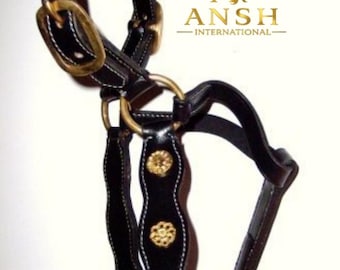 May include: A black leather horse halter featuring scalloped edges, white contrast stitching, and gold-toned metal hardware including buckles, rings, and circular floral-patterned studs. The text AJ ANSH INTERNATIONAL with a crown icon is visible.