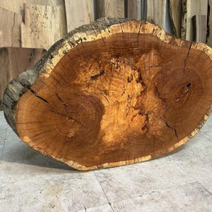 May include: A cross-section of a tree trunk, showcasing the natural wood grain and growth rings. The wood has a warm, reddish-brown hue with lighter, golden-brown areas. The bark edge is a mix of gray and brown. The cut piece is approximately 24 inches wide.