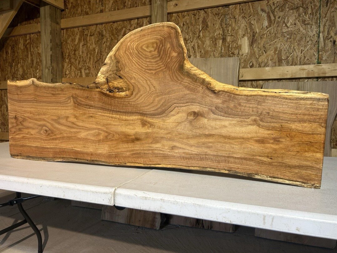 Butternut Coffee Table/burly/white Walnut Wood/solid Rustic Live Edge ...