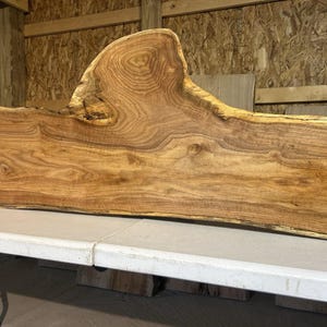 May include: A large, live edge wood slab with a natural, organic shape. The slab is a warm, medium brown color with visible wood grain and knots. The top edge has a unique, curved design. This piece is suitable for a table or countertop.
