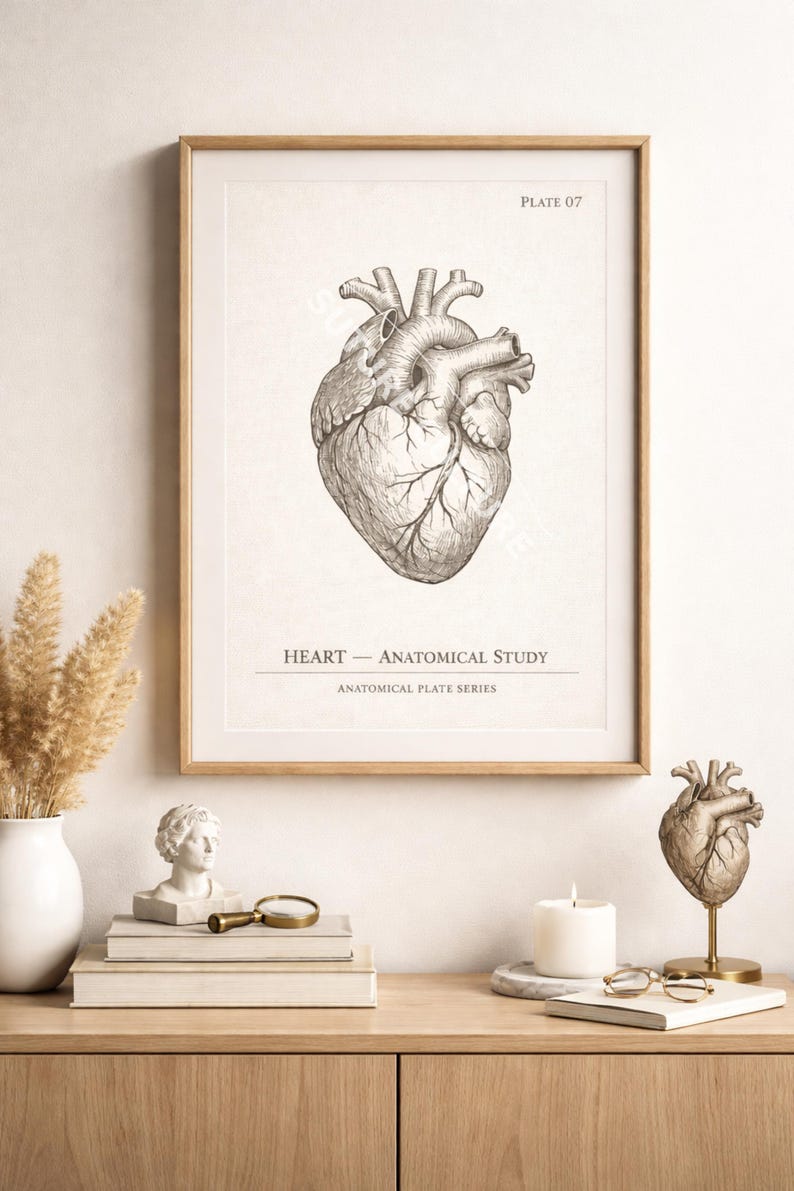 Vintage Heart Anatomy Print | Medical Office Decor (digital Download ...