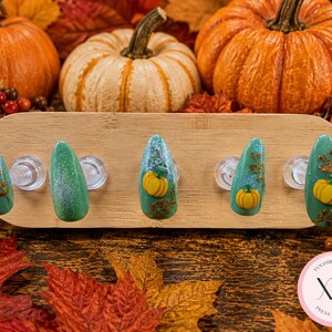 Pumpkin Patch Perfection
