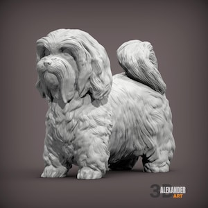 Könnte beinhalten: Detaillierte 3D-Skulptur eines Havaneser-Hundes, in einem neutralen, cremeweißen Farbton. Der Hund wird stehend dargestellt, mit seinem flauschigen Fell und seinen unverwechselbaren Merkmalen, die sorgfältig modelliert wurden. Das Bild enthält den Text "3 ALEXANDER ART".