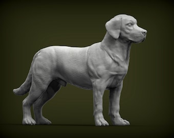 Labrador Retriever Figurine | Custom Field Dog Sculpture | Pet Memorial Statue and Dog Lover Gift