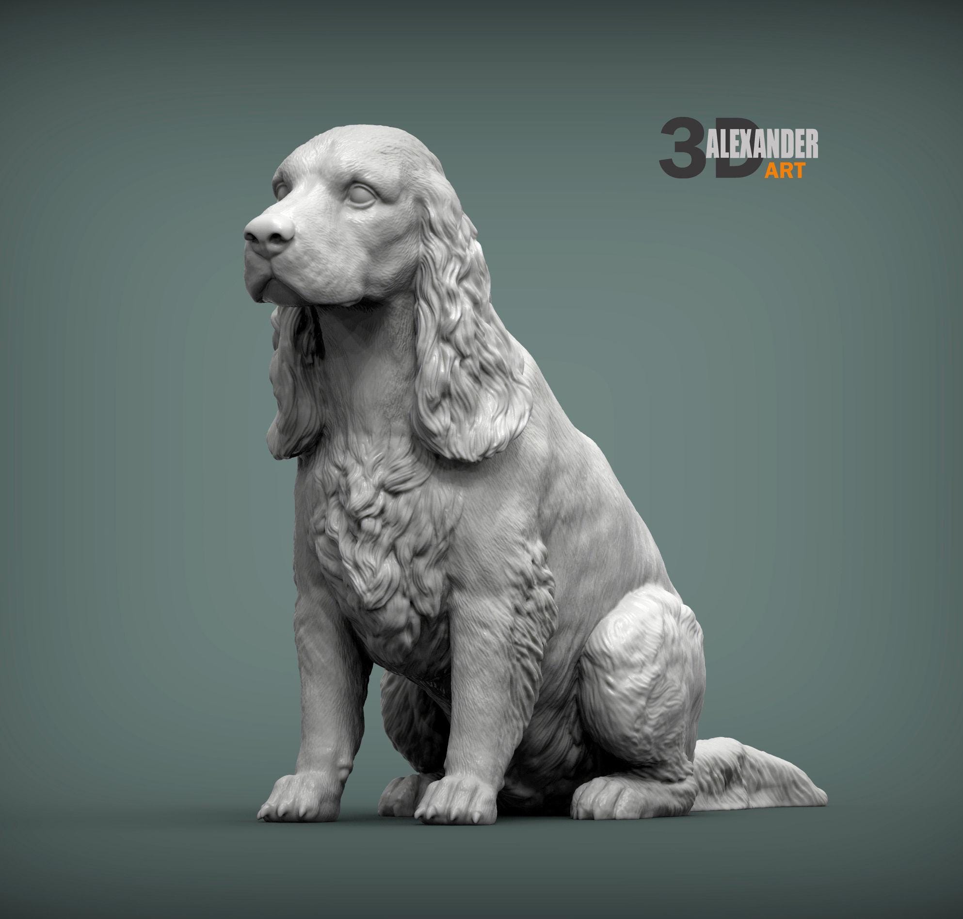 Séquence Danimation Animale Chien Cocker Épagneul Dessin Animé Vector