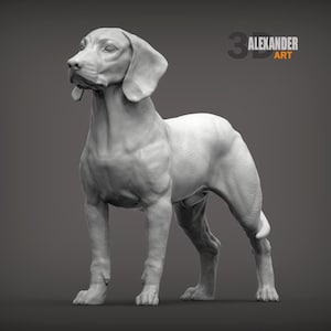 Op de afbeelding: Een 3D-geproduceerde sculptuur van een hond in een staande pose. De hond heeft een slank postuur, lange oren en een gladde vacht. De sculptuur is monochroom, met de tekst "3D ALEXANDER ART" in de rechterbovenhoek.