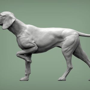 Hungarian vizsla Hungarian Pointing Figurine Dog Minimalist Dog Statue Unique Gift Memorial Dog Sculpture Ready to Paint Home Decor Cake Top