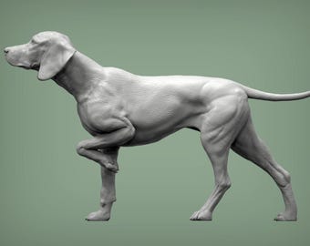 Vizsla húngaro, figura de perro de muestra húngaro, estatua minimalista de perro, regalo único, escultura conmemorativa de perro, lista para pintar, decoración del hogar, parte superior de la tarta