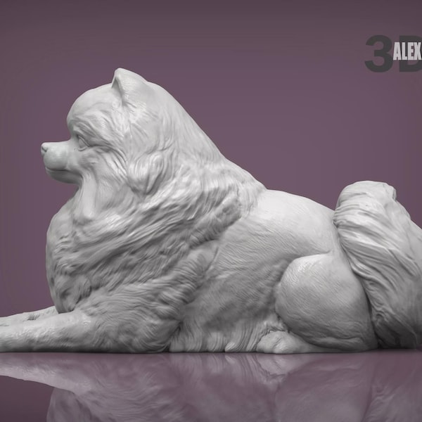 Pomeranian Figurine Dog | Minimalist Home Decor | Pet Memorial Statue | DIY or Custom Paint Sculpture | Cake Top