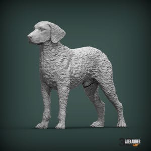Curly Coated Retriever Minimalist Dog Statue – Paintable Dog Figurine, Unique Gift, Dog Memorial Sculpture, Home Decor or Cake Topper