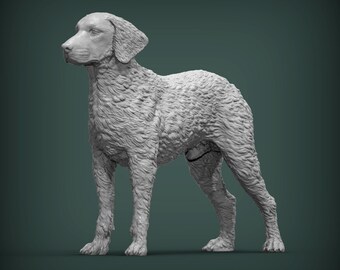 Figura de perro retriever de pelo rizado / Decoración minimalista para el hogar / Estatua conmemorativa para mascotas / Escultura de pintura DIY o personalizada / Adorno para tarta