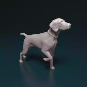 Op de afbeelding: Een lichtgrijze hondenfiguur in een staande pose, met een halsband. De hond is afgebeeld met realistische kenmerken en staat tegen een donkerblauwe achtergrond. De figuur is waarschijnlijk gemaakt van een stevig materiaal.