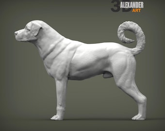 Kangal Figurine | Custom Anatolian Shepherd Sculpture | Pet Memorial Statue and Dog Lover Gift