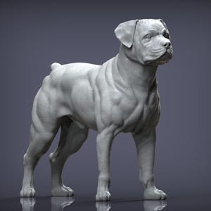 Puede incluir: Una escultura gris detallada de un perro musculoso, posiblemente un Rottweiler o raza similar, de pie en una posición erguida. La escultura muestra el físico del perro con músculos definidos y textura de pelaje realista. El fondo es un degradado de gris.
