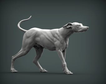 Figura de galgo / Decoración minimalista para el hogar / Estatua conmemorativa para mascotas / Escultura de pintura personalizada o hecha a mano / Adorno para tarta