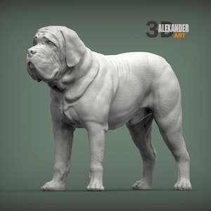 Puede incluir: Escultura renderizada en 3D de un perro Mastín Napolitano en posición de pie. El perro es de color gris claro, con musculatura detallada y pliegues en la piel. El fondo es verde apagado. El texto "3D ALEXANDER ART" está en la esquina superior derecha.