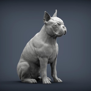 May include: A gray sculpture of a seated dog, likely a French Bulldog, with detailed fur texture and a focused gaze. The dog's muscular build is evident, and its ears are perked up. The sculpture is set against a dark gray background.