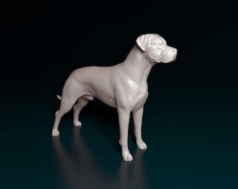 Figura personalizada de Dogo Argentino, estatua personalizada de Mastín Argentino, regalo de perro de caza, réplica de retrato de mascota, memorial de perro guardián blanco