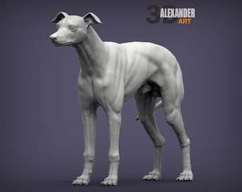 ミニチュアグレイハウンド犬の像/模型。1:6スケール（バービーと互換性