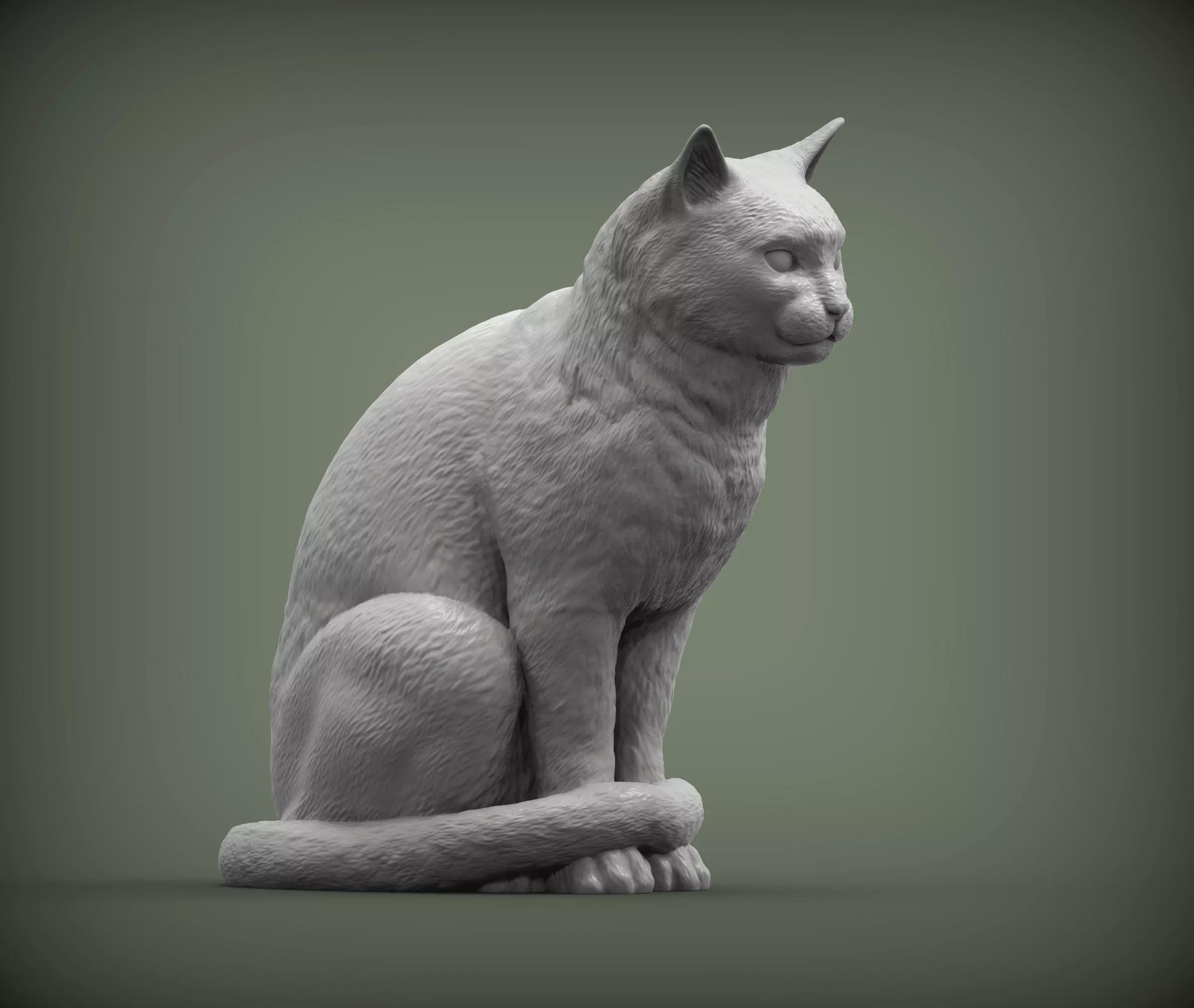 Sandicast cats - Etsy 日本