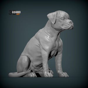 Könnte beinhalten: Eine 3D-gerenderte Skulptur eines Boxer-Welpen in sitzender Position. Der Welpe ist hellgrau und hat detaillierte Muskeln. Die Skulptur befindet sich vor einem dunkelblauen Hintergrund. Der Text "ALEXANDER ART" ist oben links sichtbar.