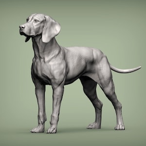 Hungarian vizsla Hungarian Pointing Figurine Dog Minimalist Dog Statue Unique Gift Memorial Dog Sculpture Ready to Paint Home Decor Cake Top