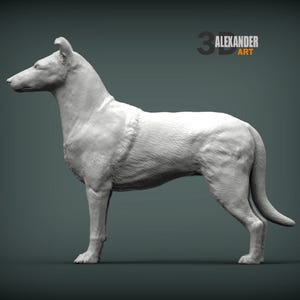 Może przedstawiać: Biała rzeźba 3D psa, przedstawiona w pozycji stojącej z długim pyskiem i wyprostowanymi uszami. Sierść psa ma teksturowany wygląd. Tło jest ciemnozielononiebieskie. Widoczny jest tekst "3D ALEXANDER ART".