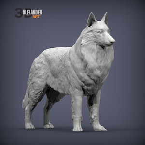 May include: A 3D-rendered sculpture of a wolf in a standing pose. The wolf is depicted in a light gray color, with detailed fur texture. The sculpture has the text "3D ALEXANDER ART" in the upper left corner.